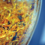 SIA SILVANOLS participation in the Phytopharmaceutical and Nutrition Suppliers Trade Mission in Japan and Exhibitions “ifia JAPAN” and “HFE JAPAN 2015” 2 klingerites