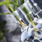 Participation of the chairperson of the SILVANOLS Ltd. board in a business delegation together with the President of Latvia Andris Bērziņš to Oslo, Norway, organised by LIAA. 3 megenes