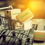 silvanols eshop ee 1536x1086 1